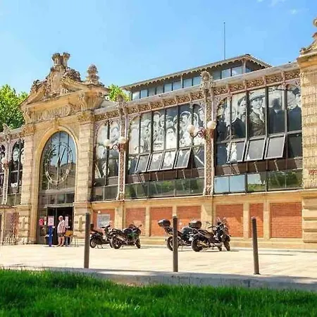 T3 6 Couchages Grands Buffets Et Plages *